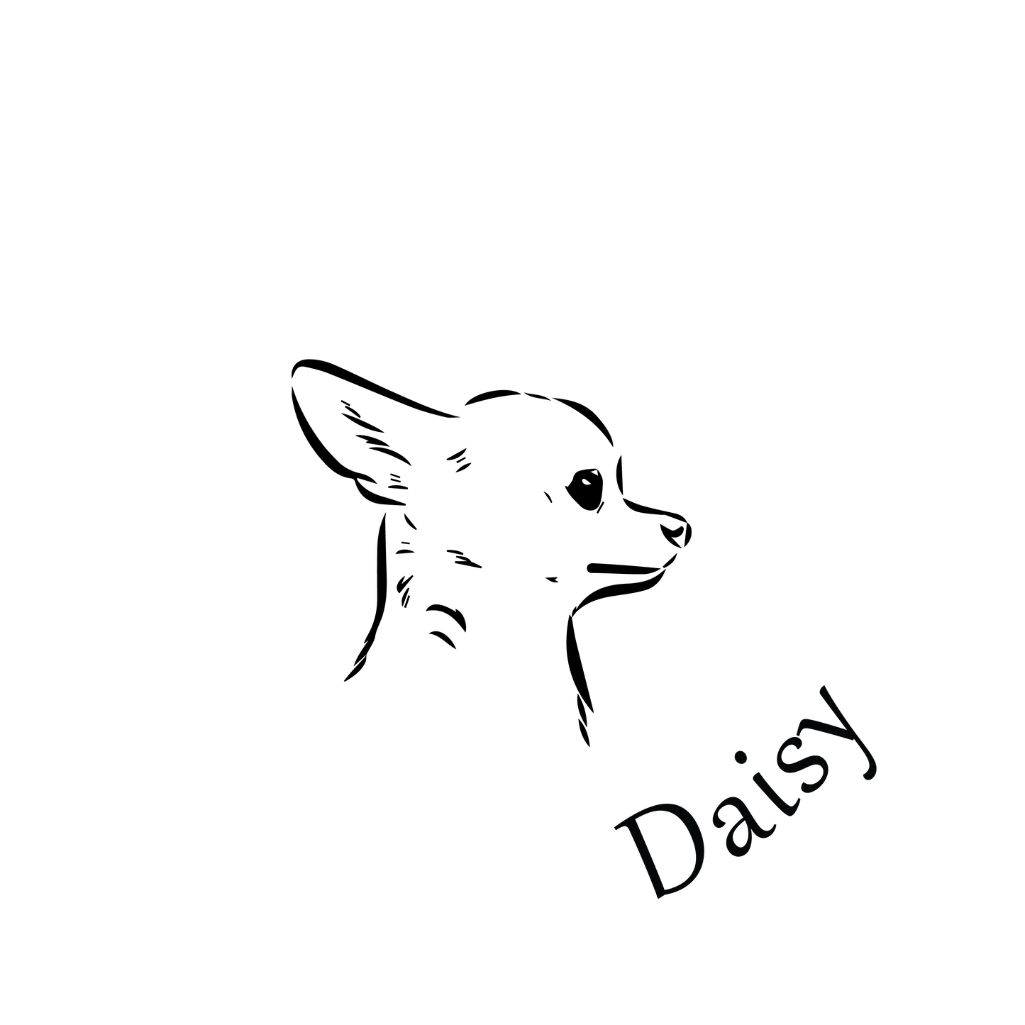 Disc Necklace